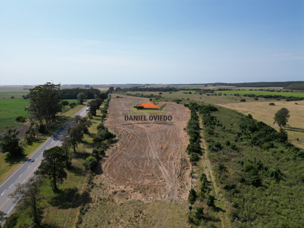 Chacra ID.337/Chacra-de-8-h - Chacra de 8 hás sobre Ruta 23 - San José