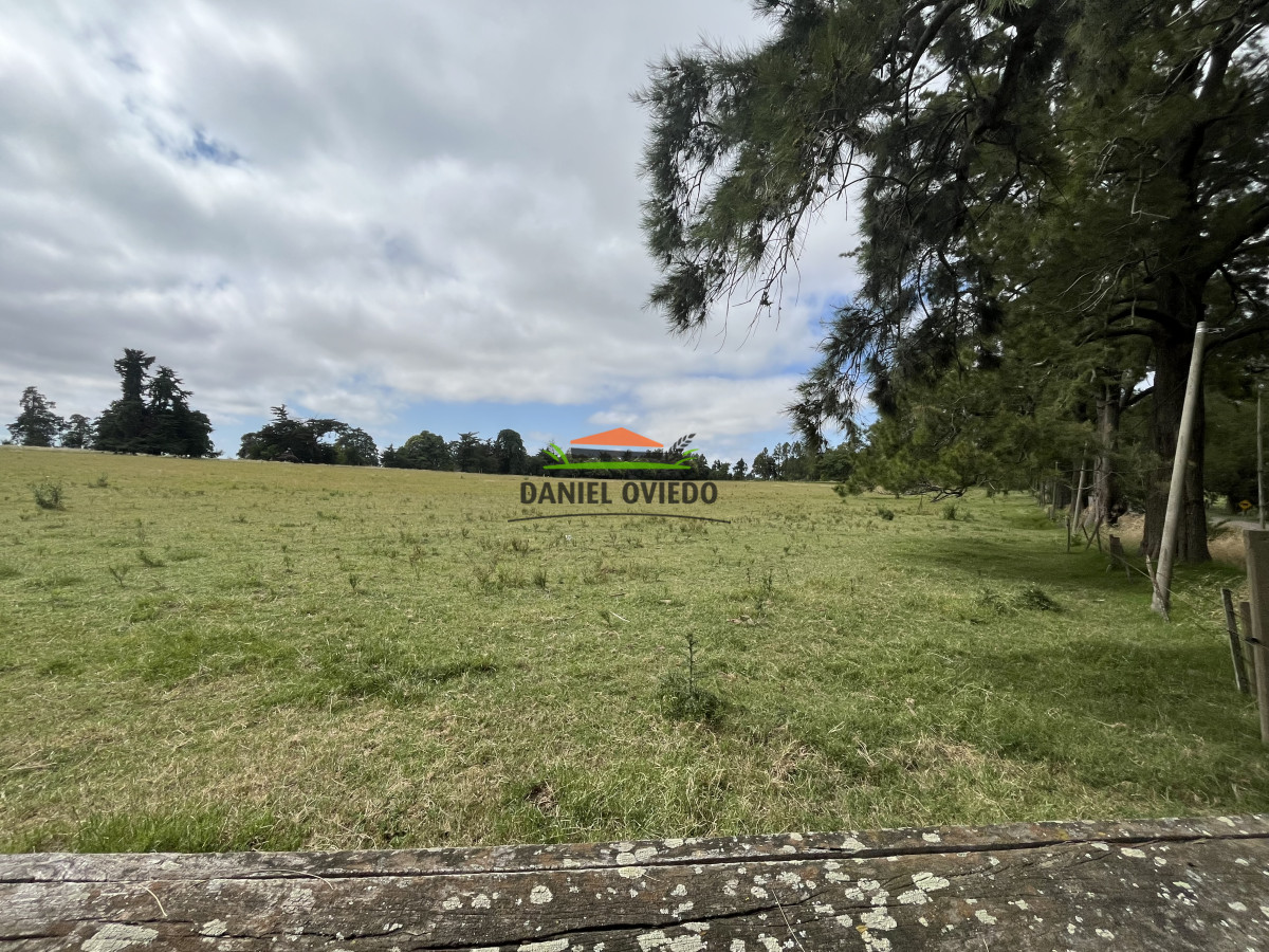 Chacra ID.315/Chacra-de-8,5-has-sobre-Ruta-51---Camino-a-Playa-Fomento,-Excelente-Punto - Chacra de 8,5 has sobre Ruta 51 - Camino a Playa Fomento, Excelente Punto