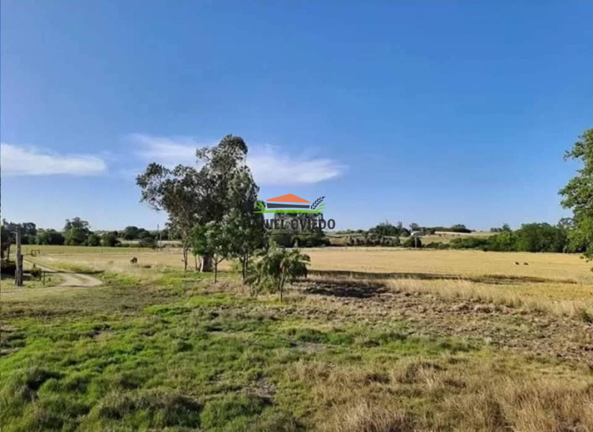 Chacra ID.202 - Hermosa chacra con 2 casas, arroyo y tierras muy productivas.