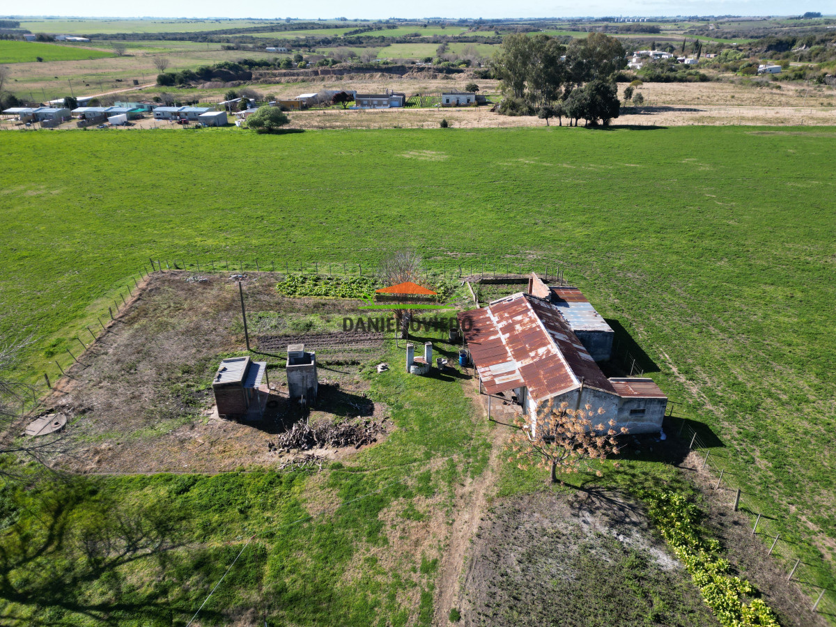 Chacra ID.240/Excelente-chacra-en-venta-con-3-casas-ubicada-a-5-km-de-Carmelo. - Excelente chacra en venta con 3 casas ubicada a 5 km de Carmelo.