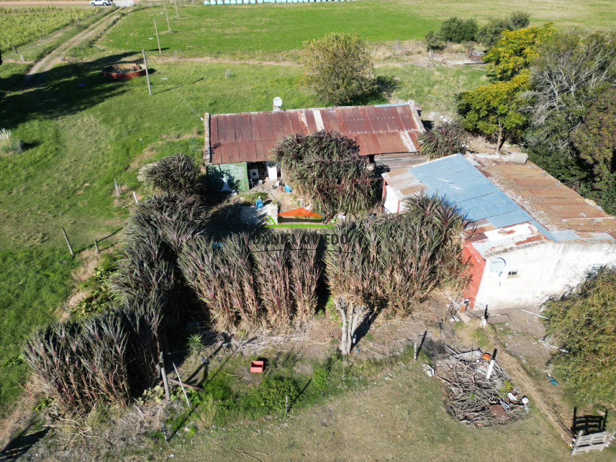 Chacra ID.385/Chacra-de-5-hect - Chacra de 5 hectáreas con casa y excelente ubicación cerca de Santa Regina