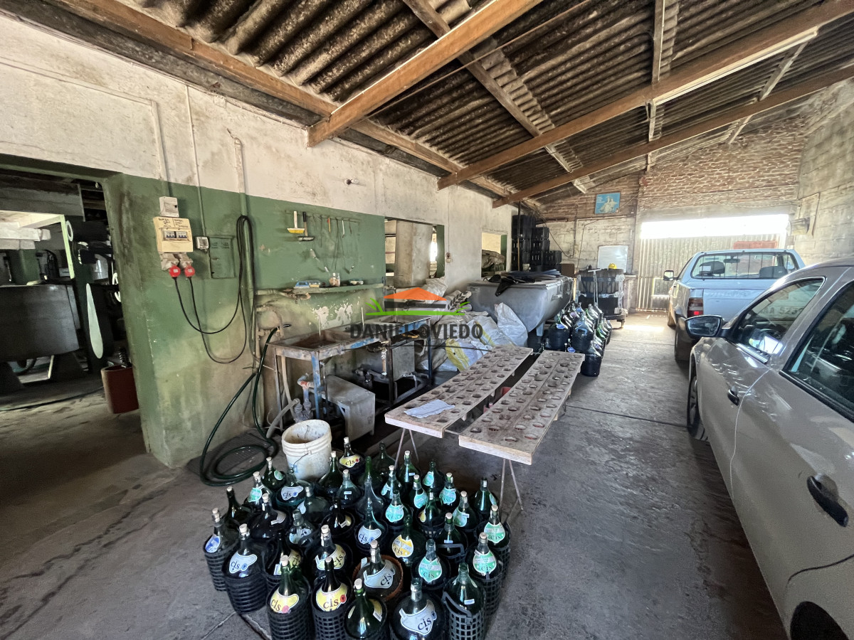 Chacra ID.255/Excelente-oportunidad-antigua-Bodega-y-viñedos-en-venta-en-Carmelo. - Excelente oportunidad antigua Bodega y viñedos en venta en Carmelo.