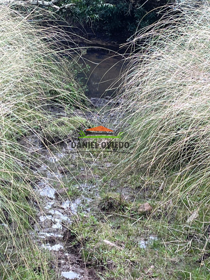 Chacra ID.311/Chacra-en-venta-con-costa-de-arroyo-en-sierras-de-Garz - Chacra en venta con costa de arroyo en sierras de Garzón.