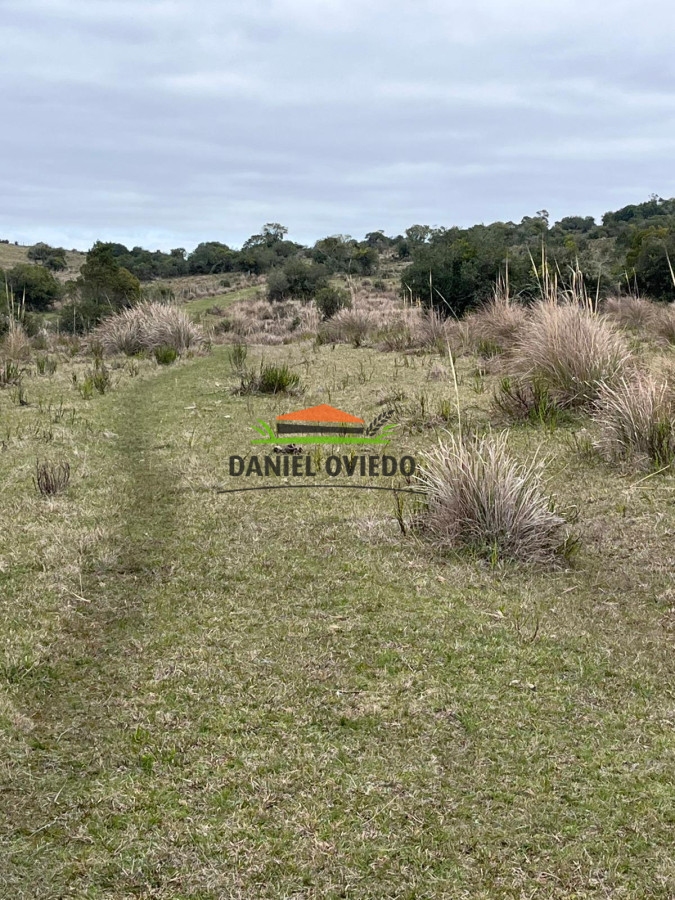 Chacra ID.311/Chacra-en-venta-con-costa-de-arroyo-en-sierras-de-Garz - Chacra en venta con costa de arroyo en sierras de Garzón.