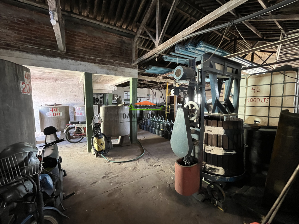 Chacra ID.255/Excelente-oportunidad-antigua-Bodega-y-viñedos-en-venta-en-Carmelo. - Excelente oportunidad antigua Bodega y viñedos en venta en Carmelo.