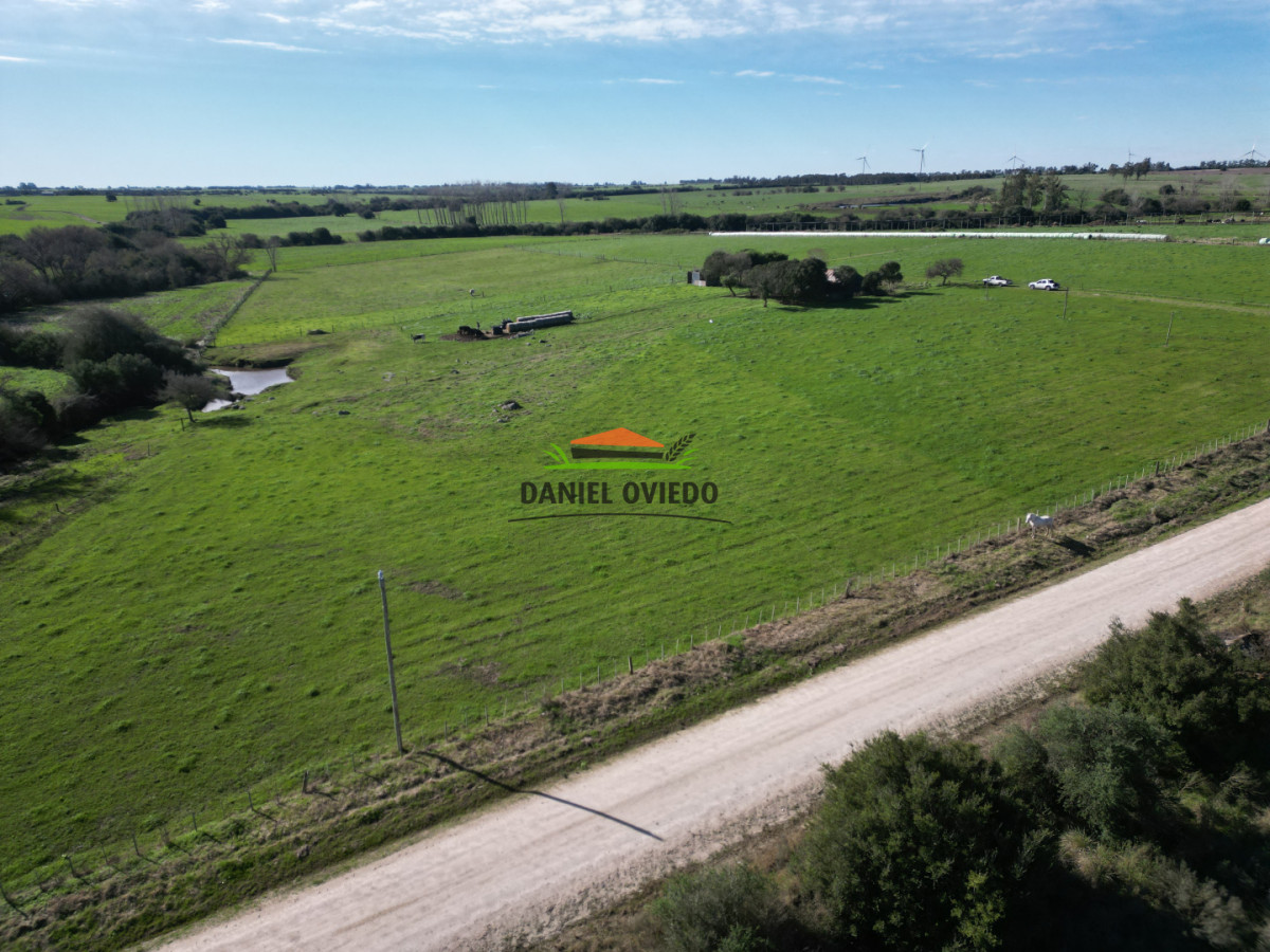Chacra ID.403/Chacra-de-5,2-hect - Chacra de 5,2 hectáreas en venta próxima a Rosario - Colonia