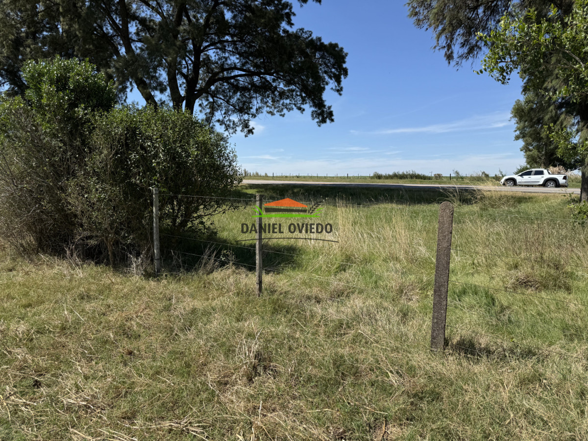 Chacra ID.337/Chacra-de-8-h - Chacra de 8 hás sobre Ruta 23 - San José