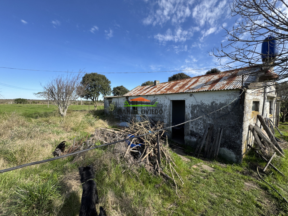 Chacra ID.403/Chacra-de-5,2-hect - Chacra de 5,2 hectáreas en venta próxima a Rosario - Colonia