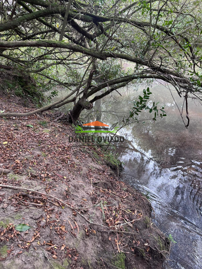 Chacra ID.311/Chacra-en-venta-con-costa-de-arroyo-en-sierras-de-Garz - Chacra en venta con costa de arroyo en sierras de Garzón.