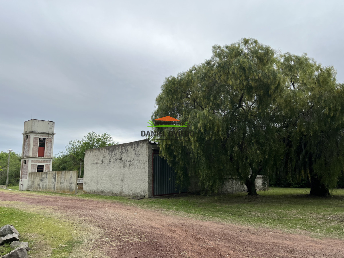 Chacra ID.286/Chacra-con-6-aptos-en-venta-muy-bien-ubicada-en-Colonia-Estrella-ruta-21. - Chacra con 6 aptos en venta muy bien ubicada en Colonia Estrella ruta 21.