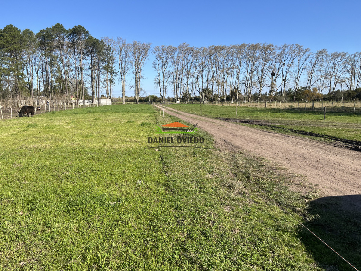 Chacra ID.138 - Chacra en venta en la entrada de Carmelo, pegada a importantes viveros de la zona.