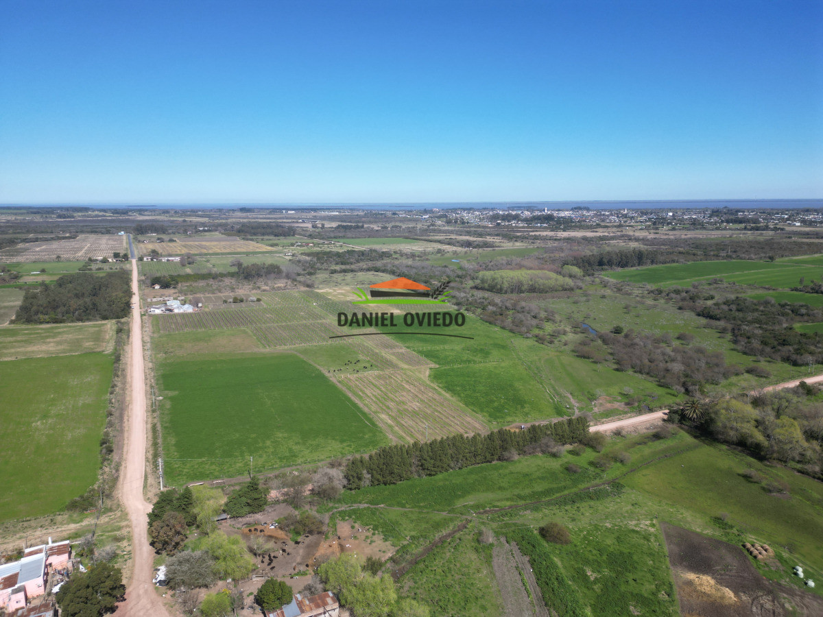 Chacra ID.255/Excelente-oportunidad-antigua-Bodega-y-viñedos-en-venta-en-Carmelo. - Excelente oportunidad antigua Bodega y viñedos en venta en Carmelo.