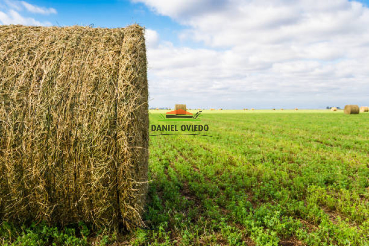 Chacra ID.353/Gran-oportunidad-chacra-en-venta-pr - Gran oportunidad chacra en venta próxima Pan de Azucar y ruta 9.