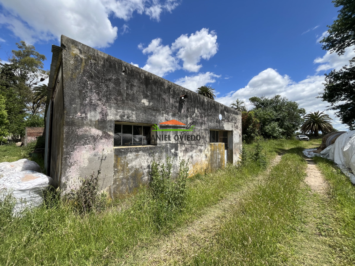 Chacra ID.314/Chacra-de-1,5-ha-con-Casa-a-Reciclar-y-F - Chacra de 1,5 ha con Casa a Reciclar y Fábrica en Excelente Punto - Nueva Helvecia