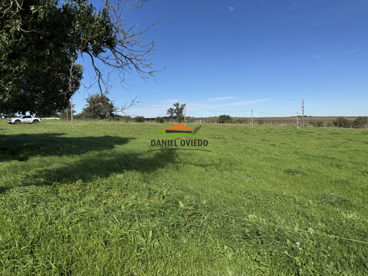 Chacra ID.403/Chacra-de-5,2-hect - Chacra de 5,2 hectáreas en venta próxima a Rosario - Colonia