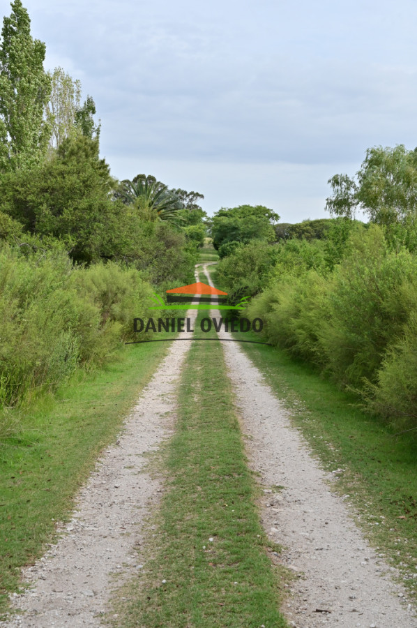 Chacra ID.418/Chacra-con-una-de-las-mejores-vistas-de-Colonia,-con-hermosa-y-amplia-casa. - Chacra con una de las mejores vistas de Colonia, con hermosa y amplia casa.
