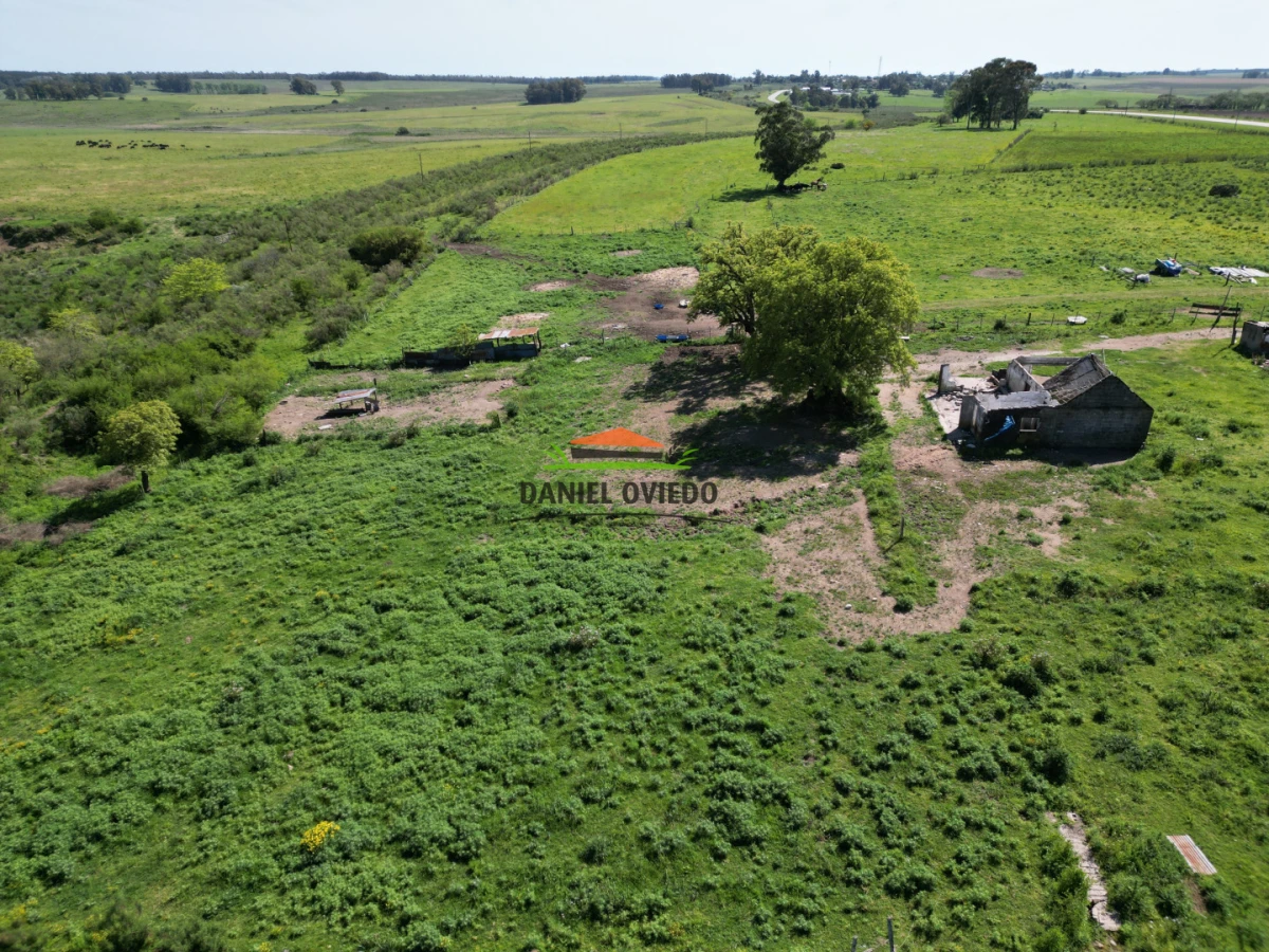 Chacra ID.282/Inmejorable-punto-sobre-Ruta-23---Chacra-lista-para-desarrollar - Inmejorable punto sobre Ruta 23 - Chacra lista para desarrollar