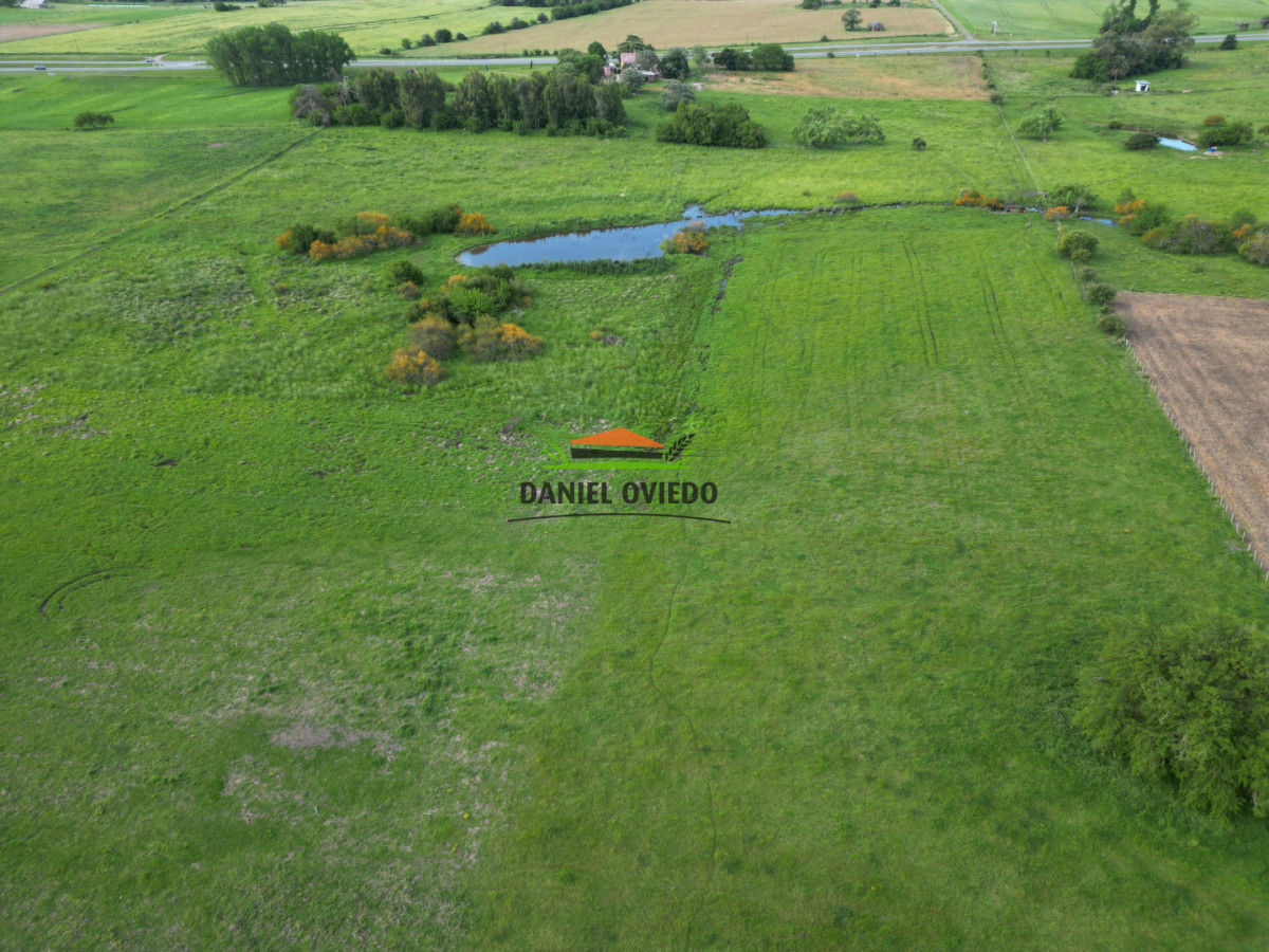 Chacra ID.283/Chacra-en-venta-sobre-Ruta-1-km-117---Inmejorable-ubicación - Chacra en venta sobre Ruta 1 km 117 - Inmejorable ubicación