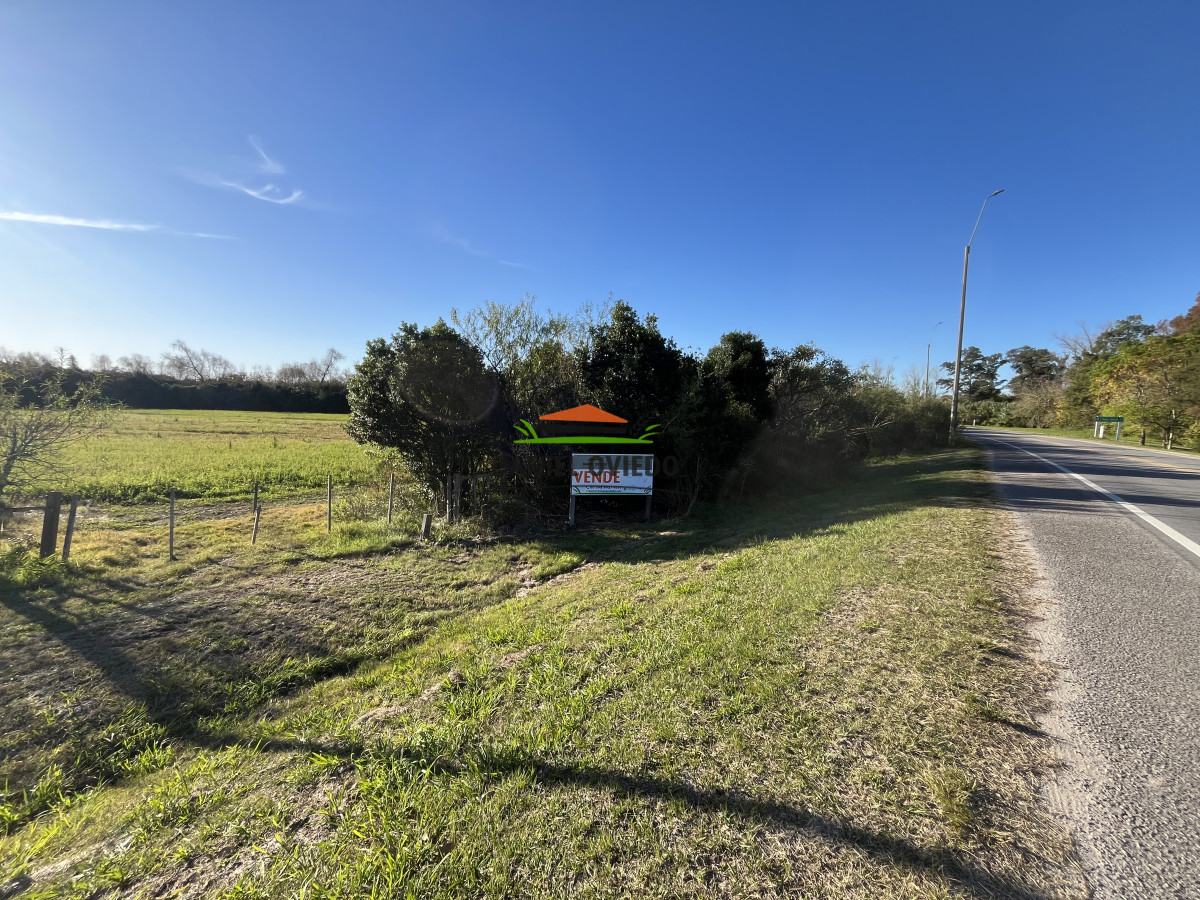 Chacra ID.205 - Muy buenas chacras en venta en ruta 1 y 53 Nueva Helvecia.