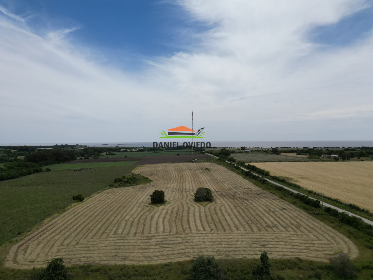 Chacra ID.328/Chacra-de-5-h - Chacra de 5 hás con vista al río en venta en San Pedro.