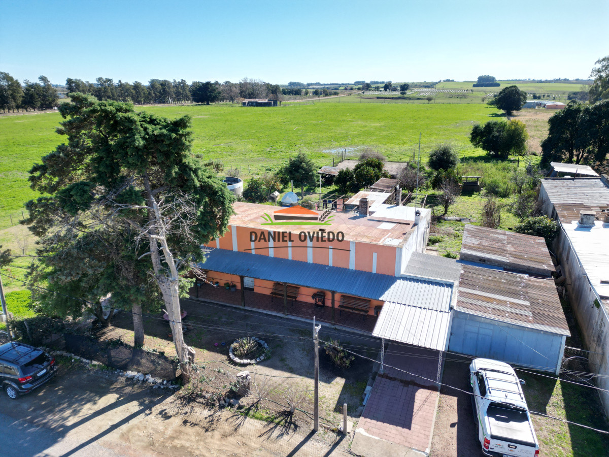 Chacra ID.240/Excelente-chacra-en-venta-con-3-casas-ubicada-a-5-km-de-Carmelo. - Excelente chacra en venta con 3 casas ubicada a 5 km de Carmelo.