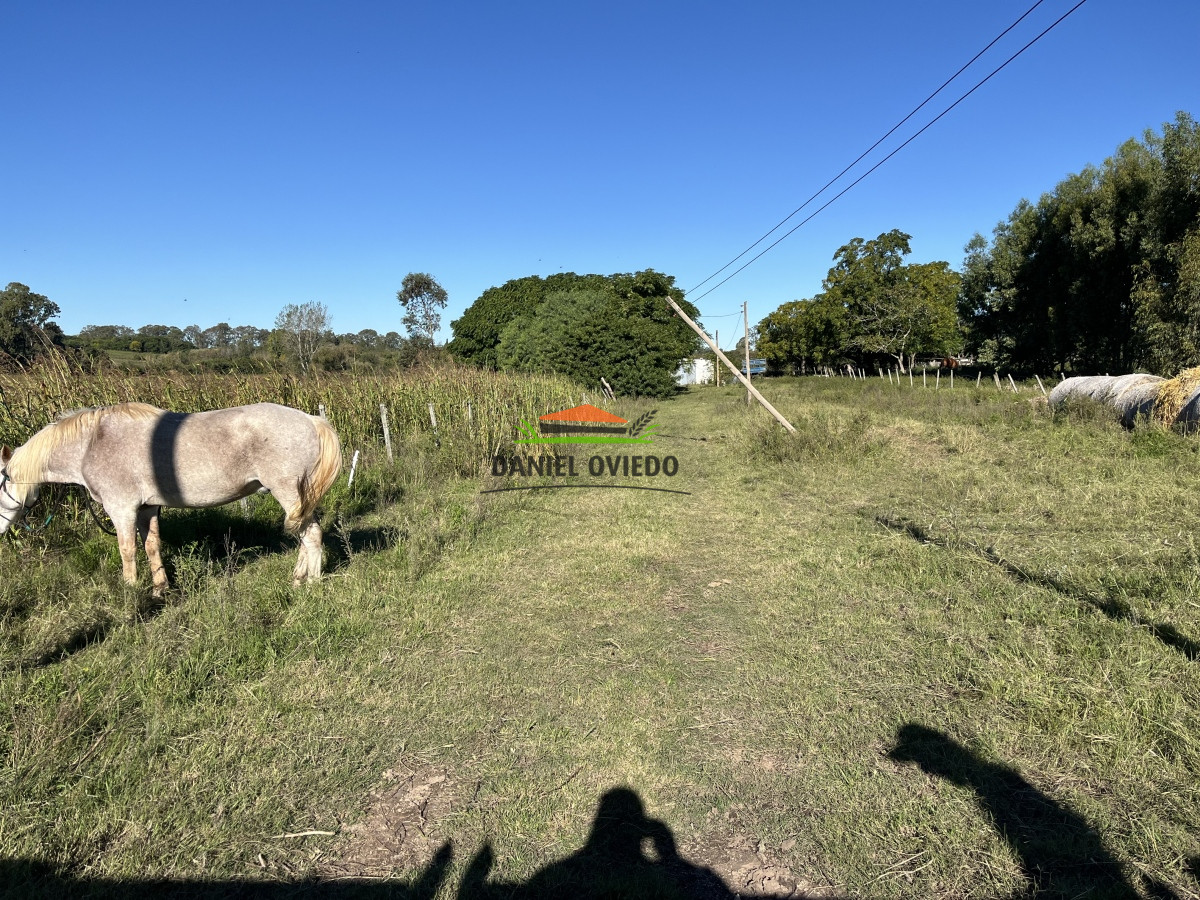 Chacra ID.48/Chacra-de-10.3-hás-en-venta-a-metros-de-ruta-1,-La-Paz. - Chacra de 10.3 hás en venta a metros de ruta 1, La Paz.