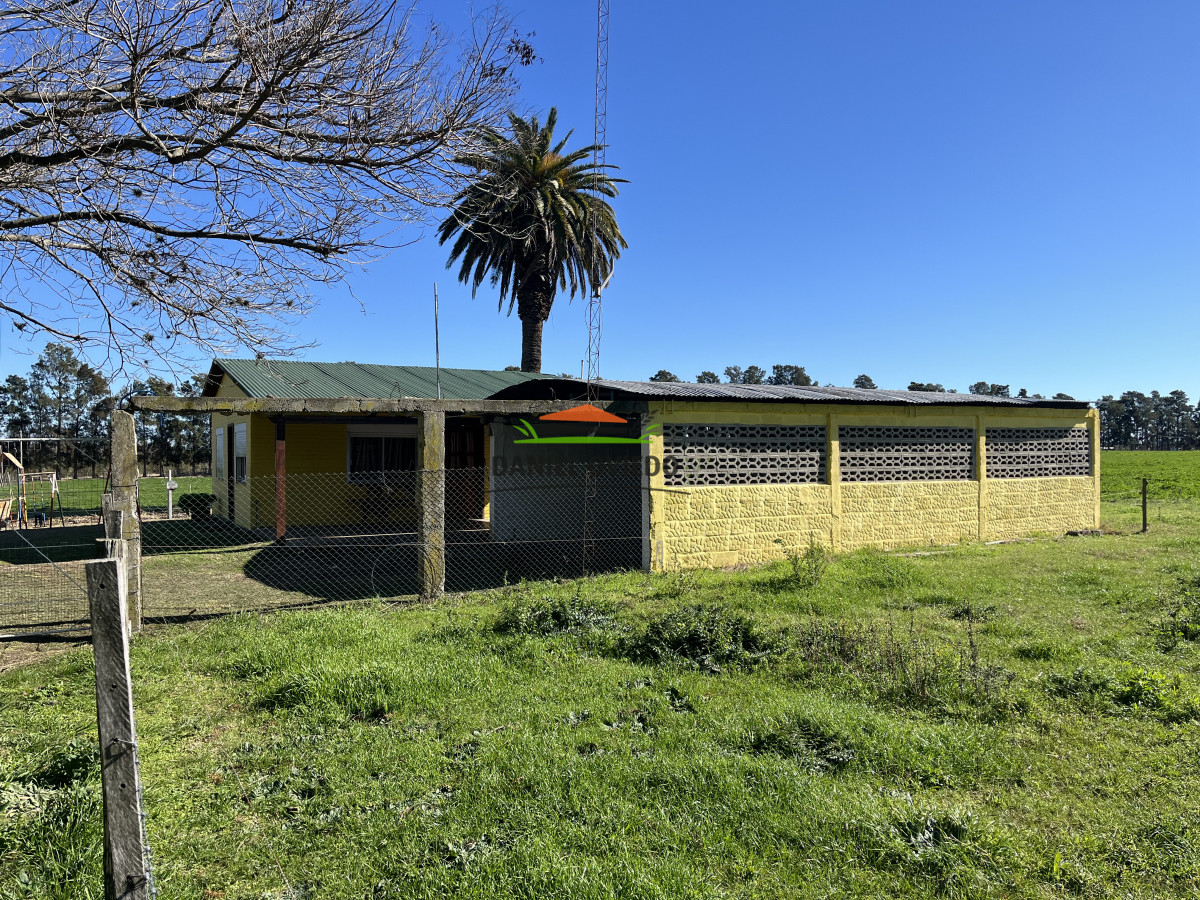 Chacra ID.240/Excelente-chacra-en-venta-con-3-casas-ubicada-a-5-km-de-Carmelo. - Excelente chacra en venta con 3 casas ubicada a 5 km de Carmelo.