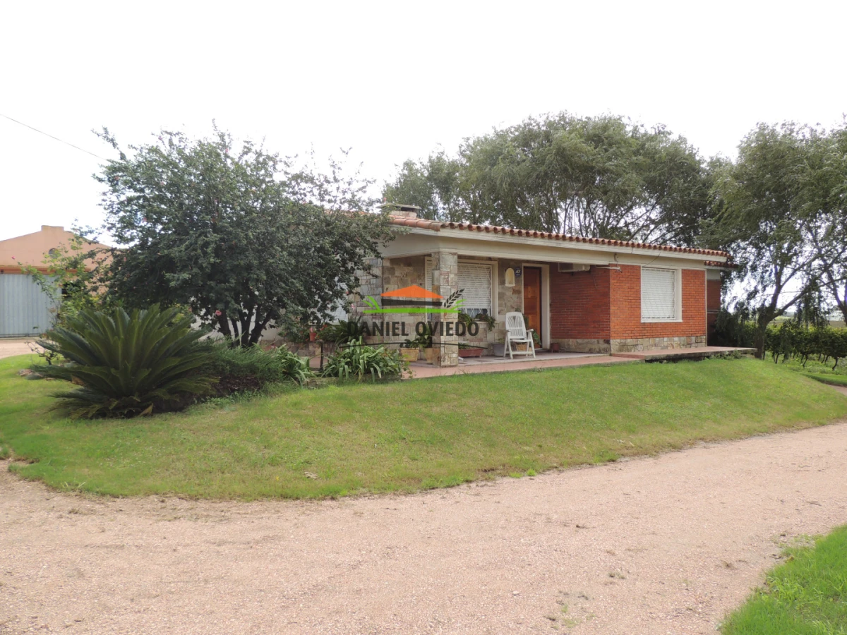 Chacra ID.425/Venta--de-Bodega,-Vi - Venta  de Bodega, Viñedo 11 Has y casas, en Toledo Chico.