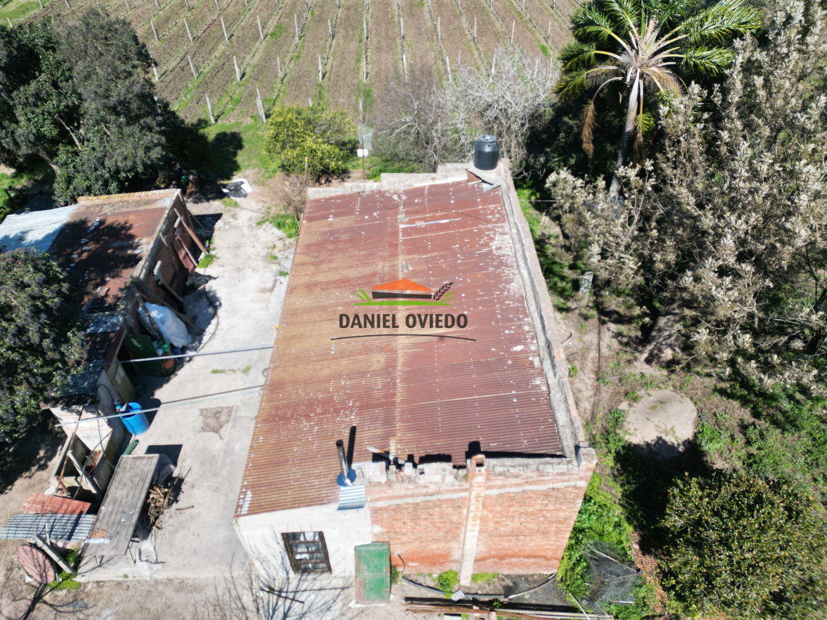 Chacra ID.139 - Excelente chacra en venta en Carmelo, con viñedos y casa antigua.