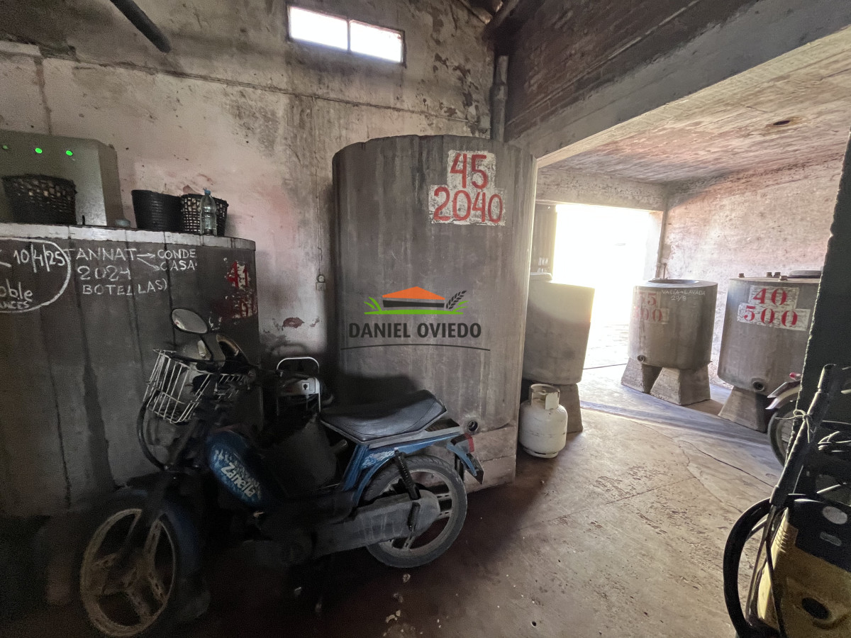 Chacra ID.255/Excelente-oportunidad-antigua-Bodega-y-viñedos-en-venta-en-Carmelo. - Excelente oportunidad antigua Bodega y viñedos en venta en Carmelo.
