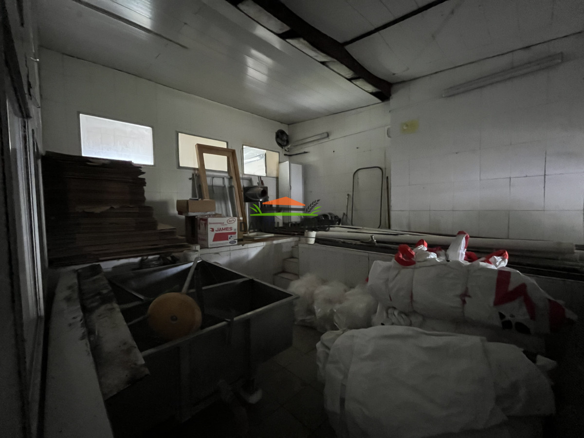 Chacra ID.314/Chacra-de-1,5-ha-con-Casa-a-Reciclar-y-F - Chacra de 1,5 ha con Casa a Reciclar y Fábrica en Excelente Punto - Nueva Helvecia