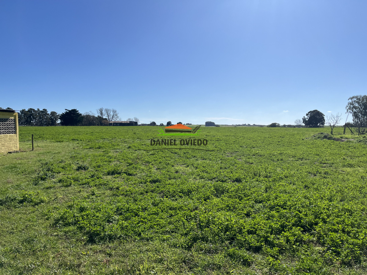 Chacra ID.240/Excelente-chacra-en-venta-con-3-casas-ubicada-a-5-km-de-Carmelo. - Excelente chacra en venta con 3 casas ubicada a 5 km de Carmelo.