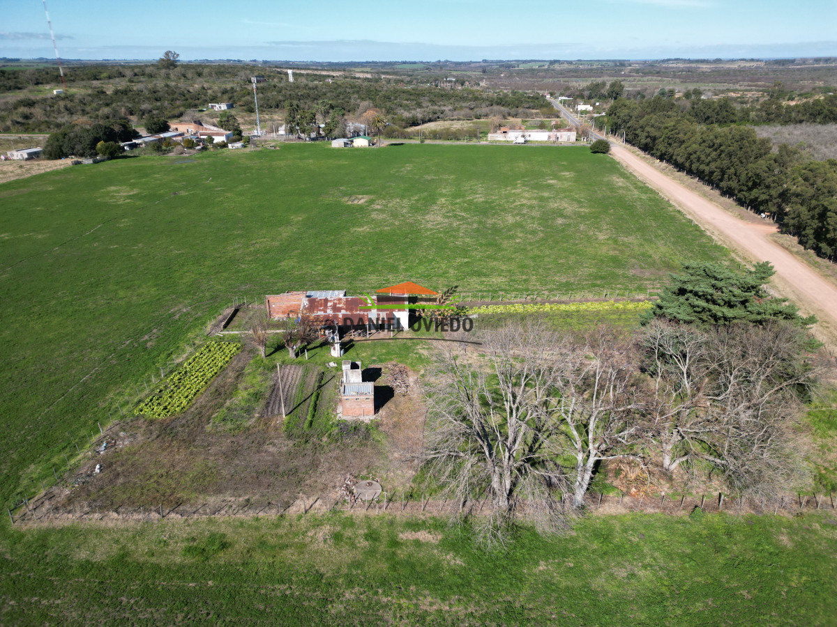 Chacra ID.240/Excelente-chacra-en-venta-con-3-casas-ubicada-a-5-km-de-Carmelo. - Excelente chacra en venta con 3 casas ubicada a 5 km de Carmelo.