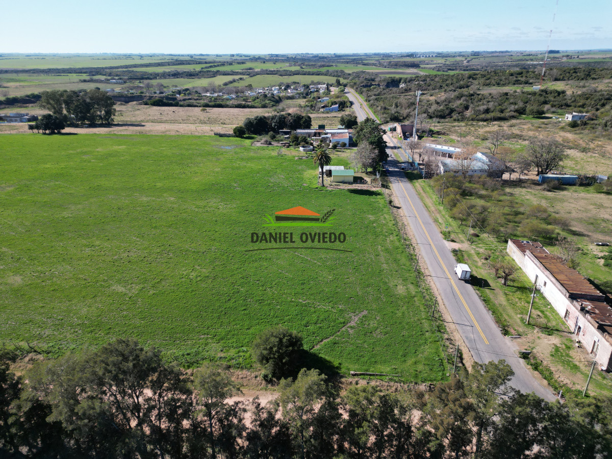 Chacra ID.240/Excelente-chacra-en-venta-con-3-casas-ubicada-a-5-km-de-Carmelo. - Excelente chacra en venta con 3 casas ubicada a 5 km de Carmelo.