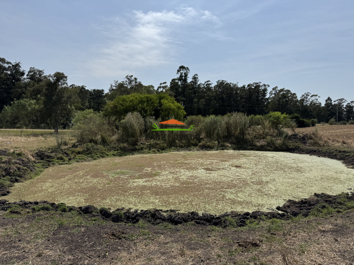 Chacra ID.337/Chacra-de-8-h - Chacra de 8 hás sobre Ruta 23 - San José