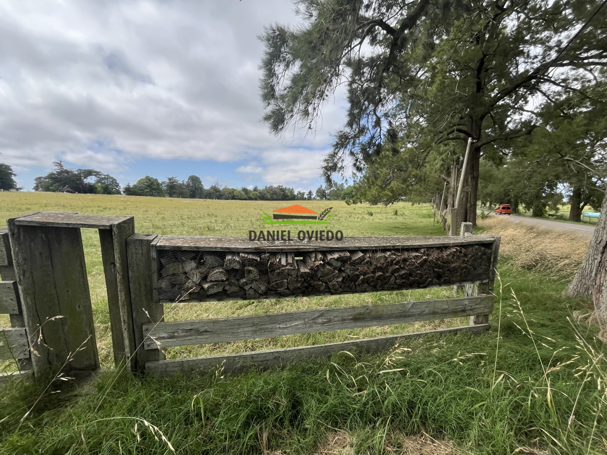 Chacra ID.315/Chacra-de-8,5-has-sobre-Ruta-51---Camino-a-Playa-Fomento,-Excelente-Punto - Chacra de 8,5 has sobre Ruta 51 - Camino a Playa Fomento, Excelente Punto