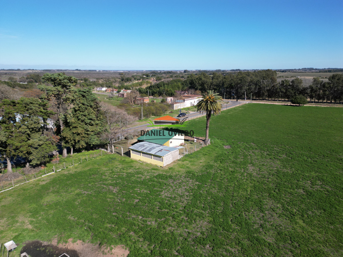 Chacra ID.240/Excelente-chacra-en-venta-con-3-casas-ubicada-a-5-km-de-Carmelo. - Excelente chacra en venta con 3 casas ubicada a 5 km de Carmelo.