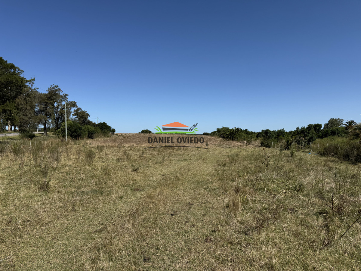 Chacra ID.337/Chacra-de-8-h - Chacra de 8 hás sobre Ruta 23 - San José