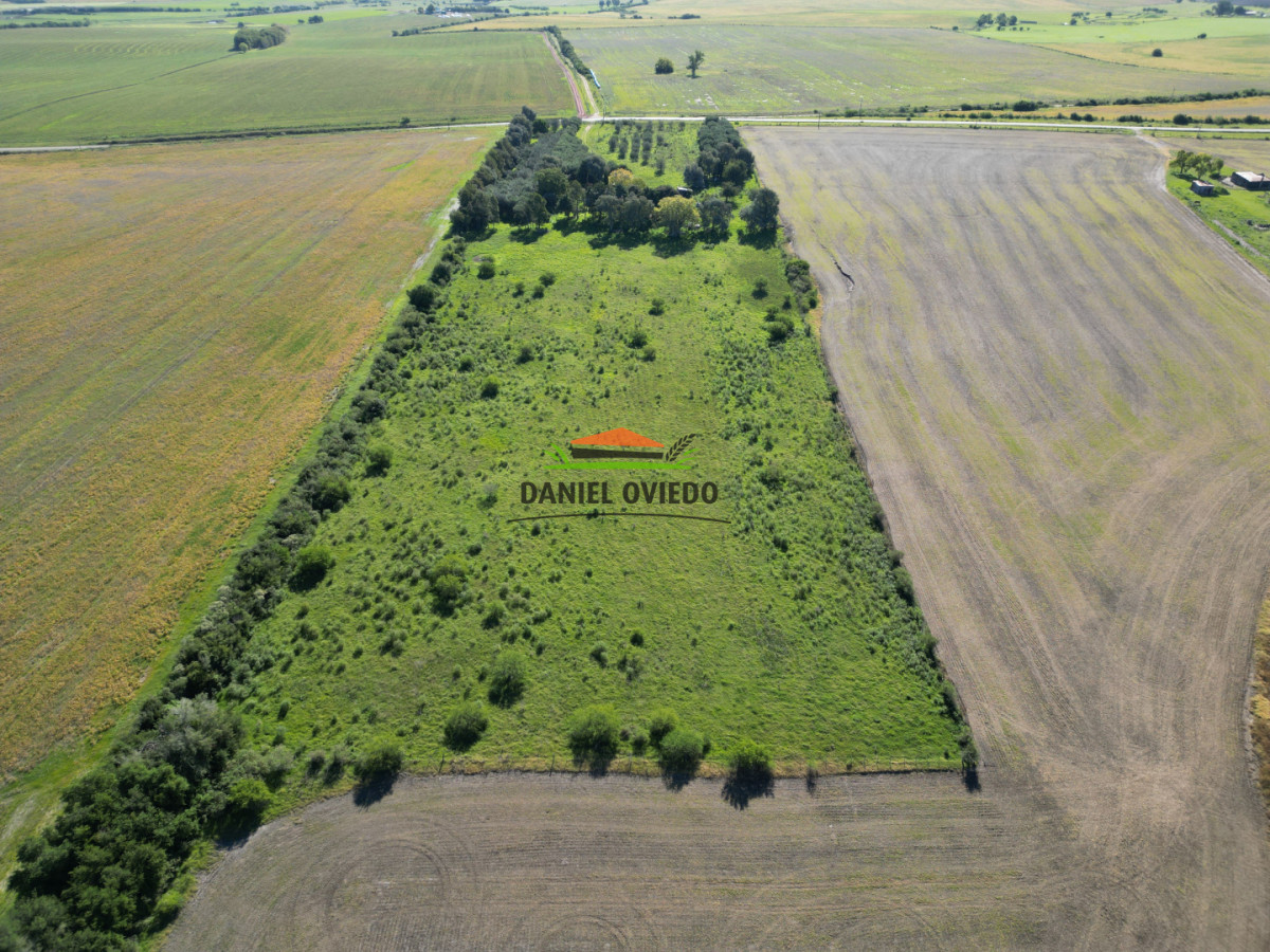 Chacra ID.382/Chacra-ideal-para-vivir-y-disfrutar-de-la-naturaleza-con-casa,-olivos-y-5-has-en-venta,-Carmelo. - Chacra ideal para vivir y disfrutar de la naturaleza con casa, olivos y 5 has en venta, Carmelo.