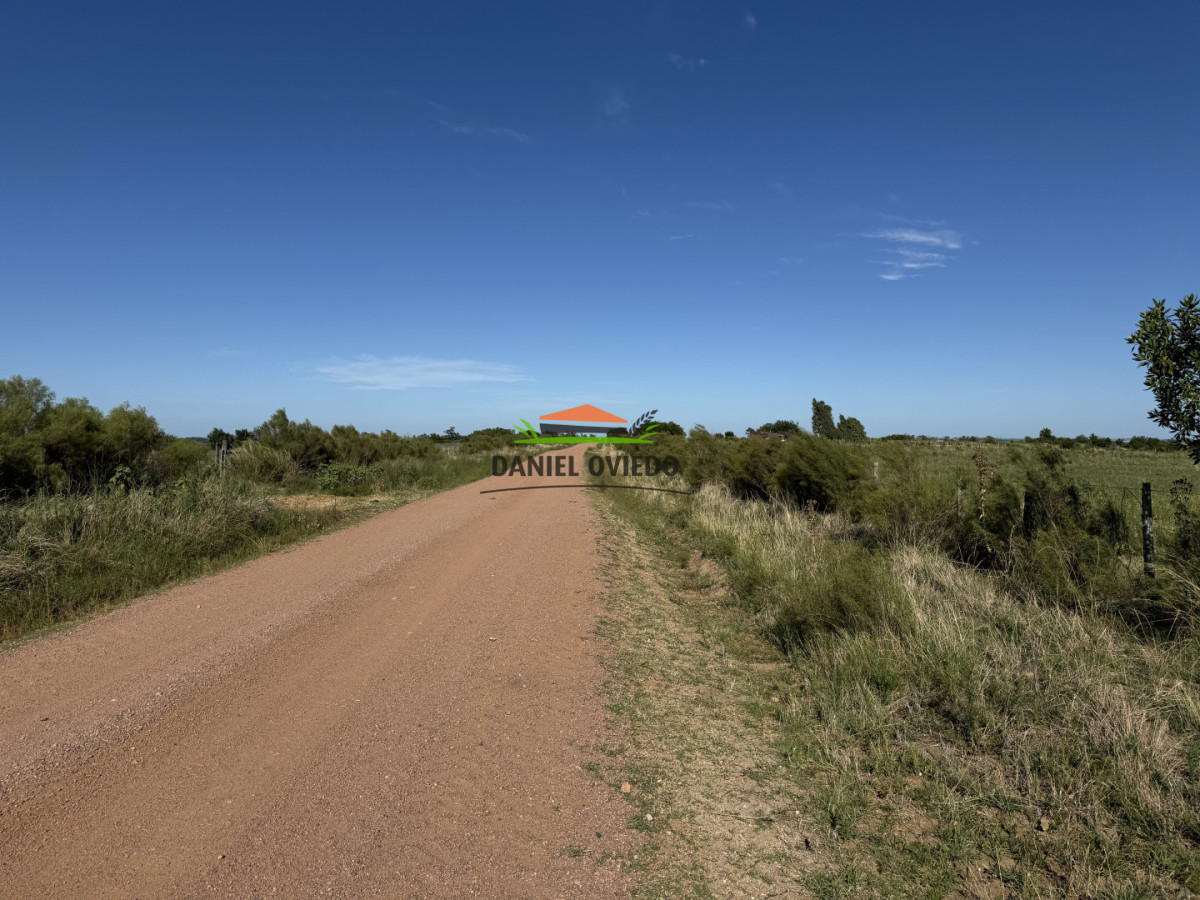 Chacra ID.344/Chacra-de-5,5-hect - Chacra de 5,5 hectáreas con agua en Cufré - Departamento de Colonia