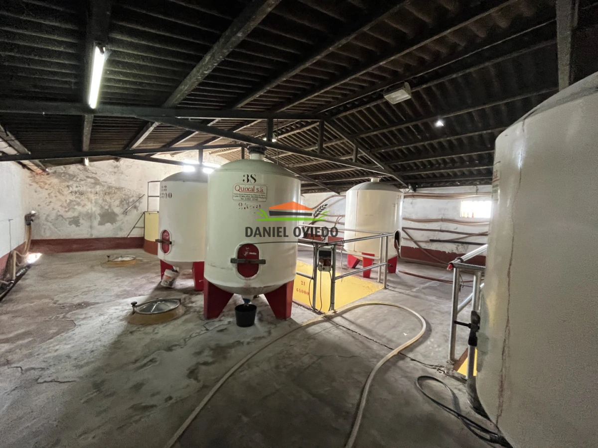 Chacra ID.425/Venta--de-Bodega,-Vi - Venta  de Bodega, Viñedo 11 Has y casas, en Toledo Chico.