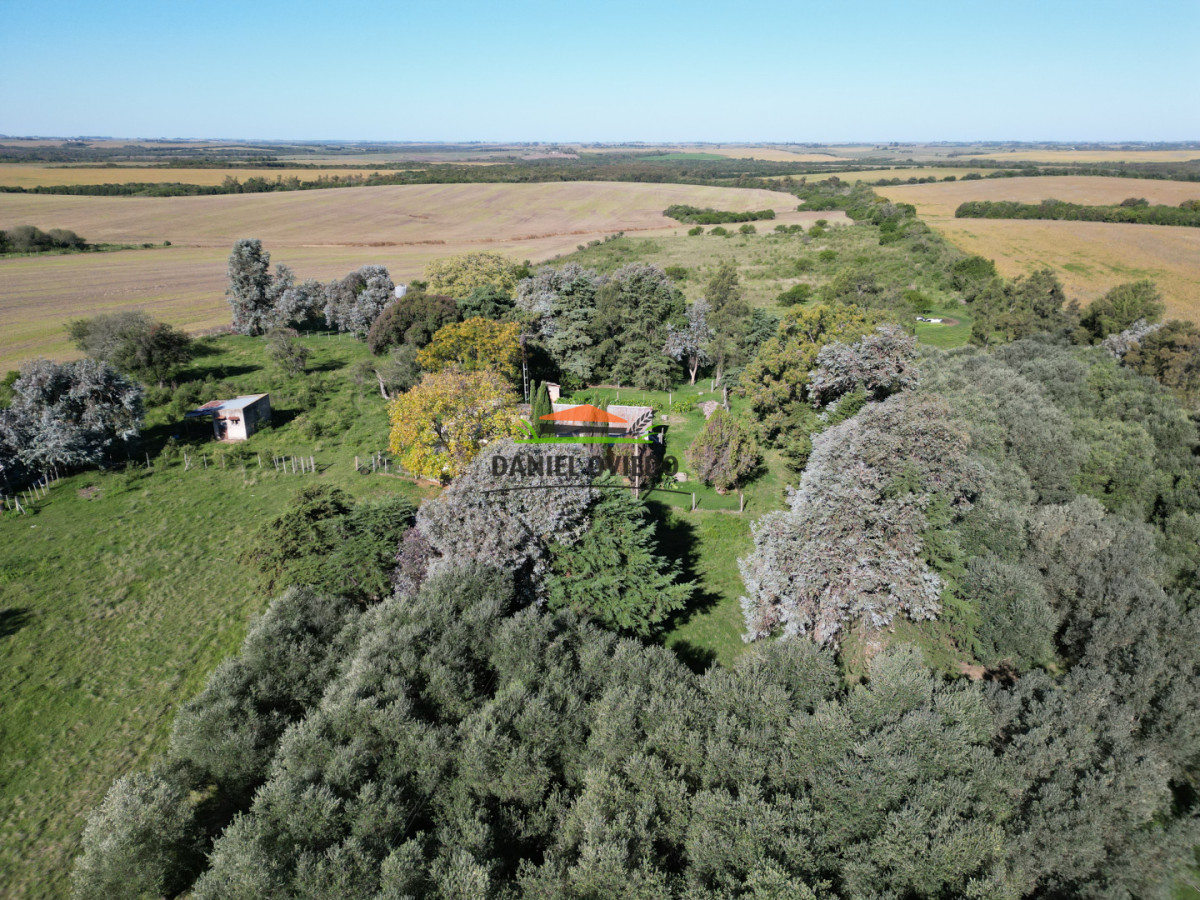 Chacra ID.382/Chacra-ideal-para-vivir-y-disfrutar-de-la-naturaleza-con-casa,-olivos-y-5-has-en-venta,-Carmelo. - Chacra ideal para vivir y disfrutar de la naturaleza con casa, olivos y 5 has en venta, Carmelo.