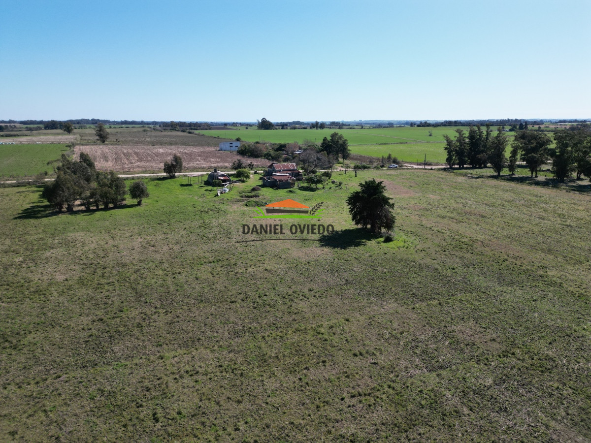 Chacra ID.49 - Muy buena ubicación chacra en venta en una de las mejores zonas de Nueva Helvecia.