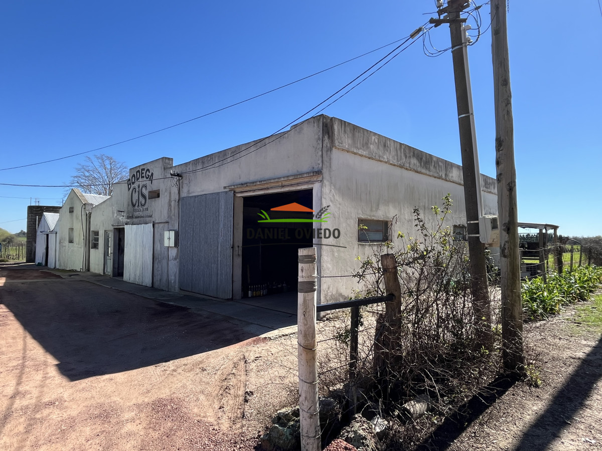 Chacra ID.255/Excelente-oportunidad-antigua-Bodega-y-viñedos-en-venta-en-Carmelo. - Excelente oportunidad antigua Bodega y viñedos en venta en Carmelo.