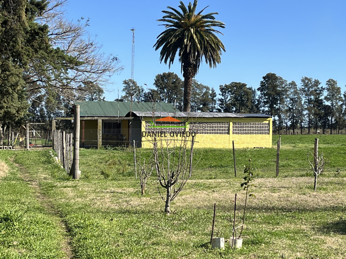 Chacra ID.240/Excelente-chacra-en-venta-con-3-casas-ubicada-a-5-km-de-Carmelo. - Excelente chacra en venta con 3 casas ubicada a 5 km de Carmelo.