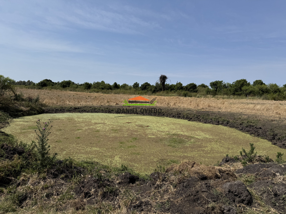 Chacra ID.337/Chacra-de-8-h - Chacra de 8 hás sobre Ruta 23 - San José