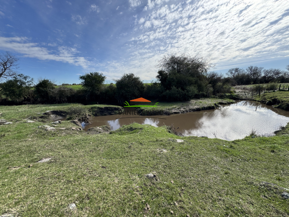 Chacra ID.403/Chacra-de-5,2-hect - Chacra de 5,2 hectáreas en venta próxima a Rosario - Colonia