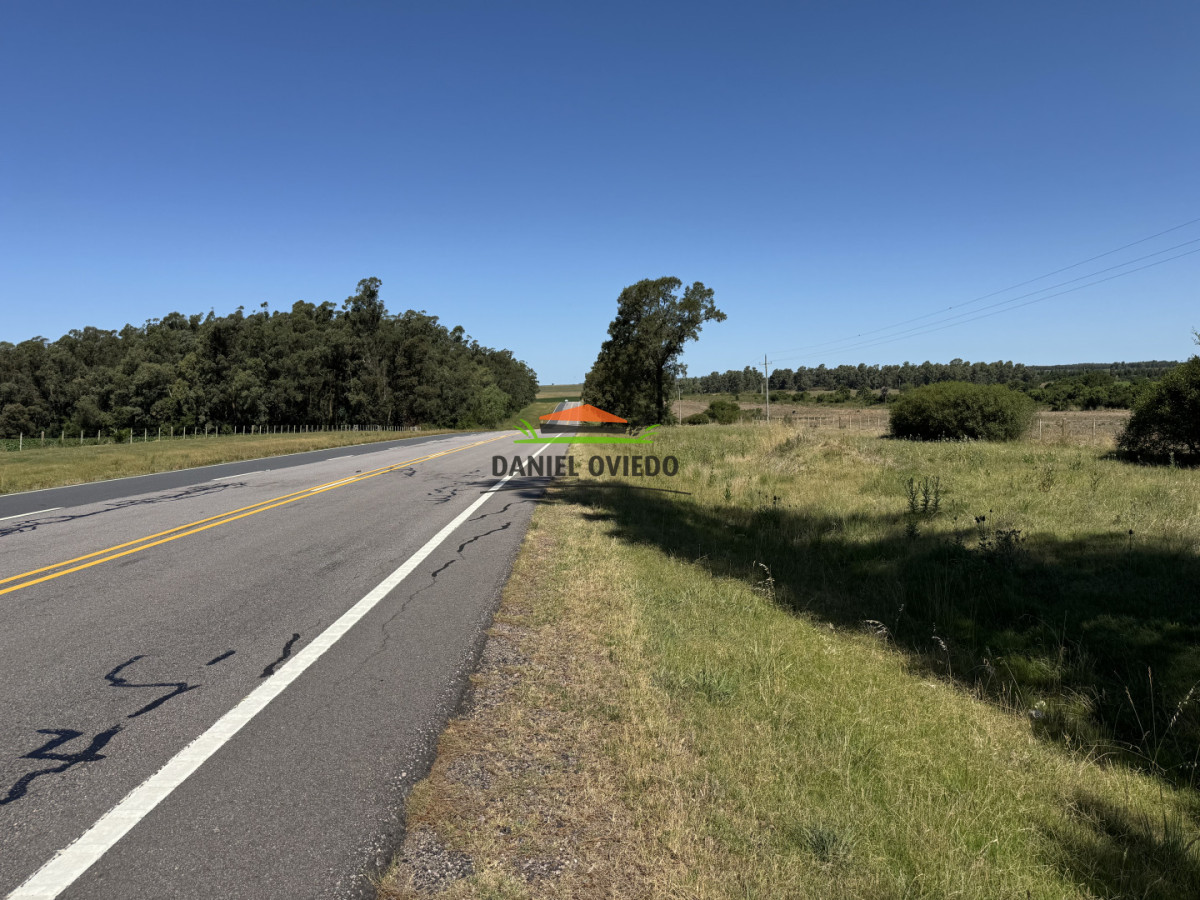 Chacra ID.337/Chacra-de-8-h - Chacra de 8 hás sobre Ruta 23 - San José