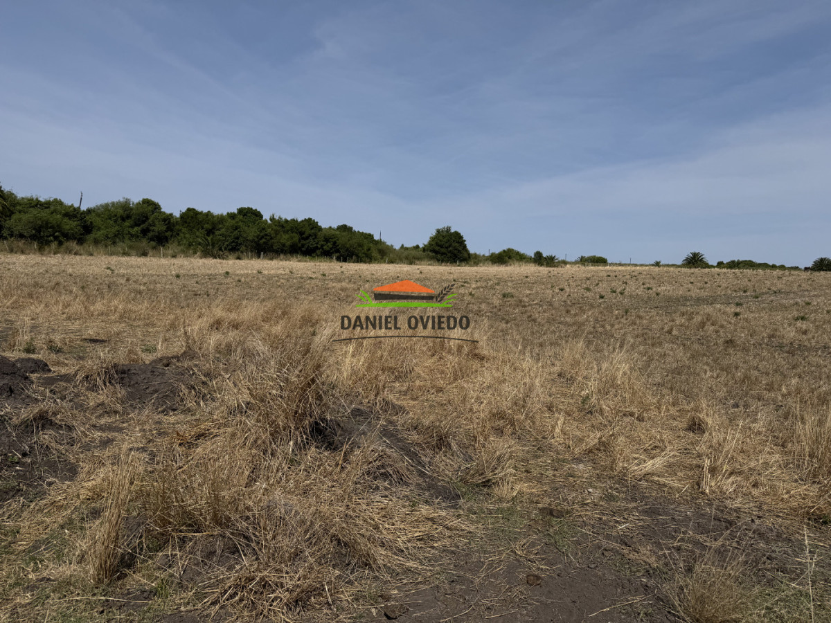 Chacra ID.337/Chacra-de-8-h - Chacra de 8 hás sobre Ruta 23 - San José