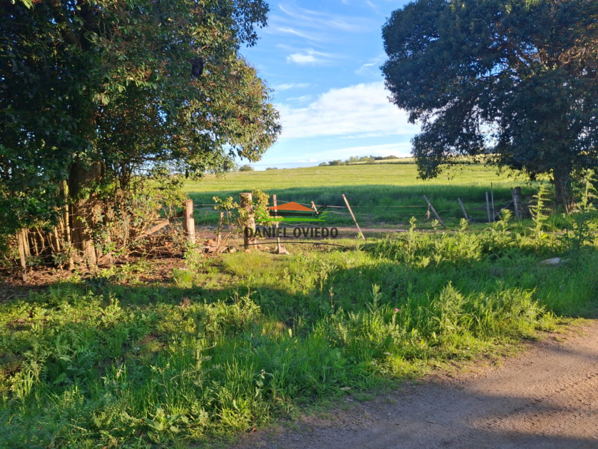 Chacra ID.423/🌿- - 🌿 ¡TU REFUGIO DE TRANQUILIDAD EN CARMELO! 🏡✨